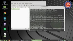 TELEGRAM для LINUX / Как скачать и установить Телеграм в Линукс