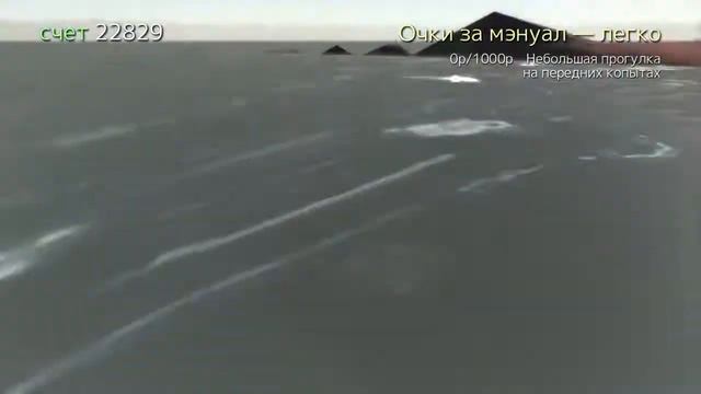 Кашелот...