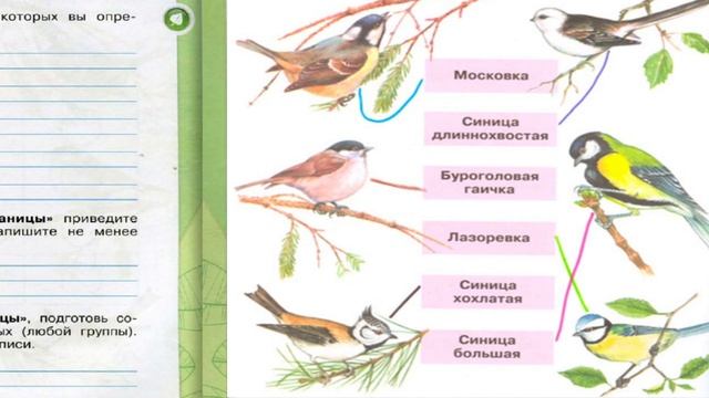 Окружающий мир. Рабочая тетрадь 3 класс 1 часть. ГДЗ стр. 54 №5 смотреть онлайн