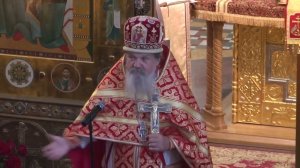 Сегодня день трезвости! Проповедь о  Андрея Лемешонка 11 сентября 2023