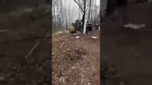 Крупного медведя встретили на рыбалке☹ ?