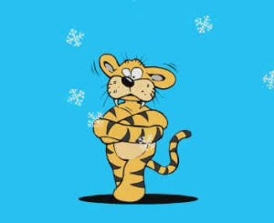 МЕХАНИЗМ ОБРАЗОВАНИЯ ТЕПЛА У ТЕПЛОКРОВНЫХ