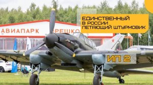 ИЛ 2. Легендарная боевая машина в Авиапарке Орешково