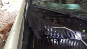 Renault Kangoo 2 Вода в салоне быстрая чистка дренажный отверстий