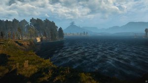 Совместимость мужчина Тигр и женщина Крыса