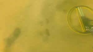 Excalibur Подводный поиск с металлоискателем