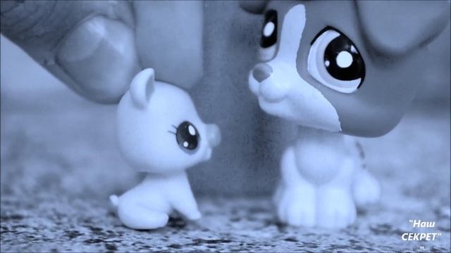 LPS "Наш СЕКРЕТ" - #39 СКАЗКА на Ночь *** смотреть онлайн