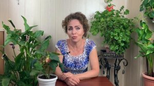 Уход за комнатными цветами в летнее время. Это должен знать каждый.
