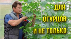 Огурцы требуют много питания для активного роста, органическая биоподкормка своими руками