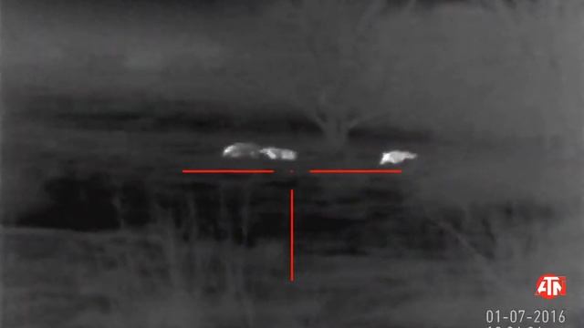 ATN Thor HD смотреть онлайн