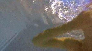 Камера GoPro HERO 5 съёмки под водой