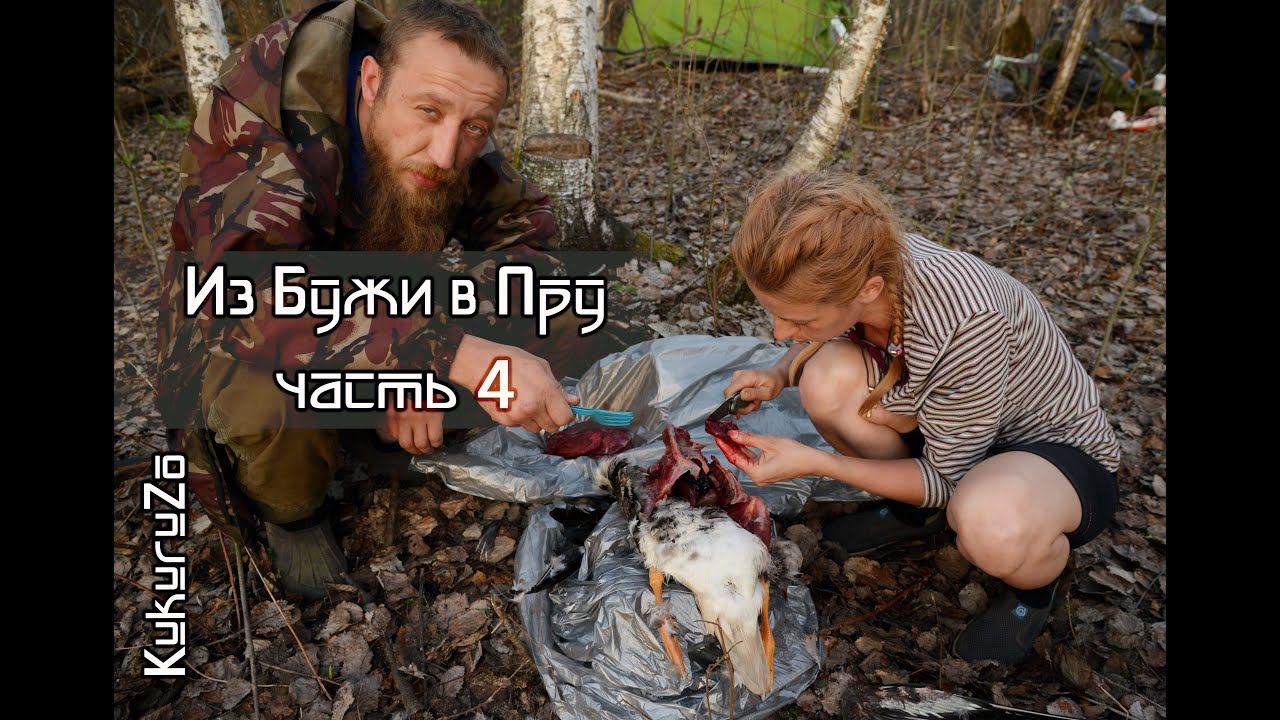 4/8 Из Бужи в Пру. Добываем и разделываем утку. КукуруЗо смотреть онлайн