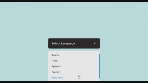 Пользовательское меню выбора с использованием HTML, CSS и Javascript