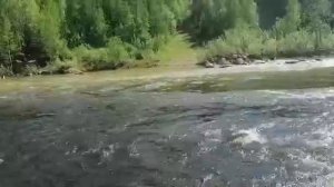 Видео от Подслушано Ивдель News.mp4