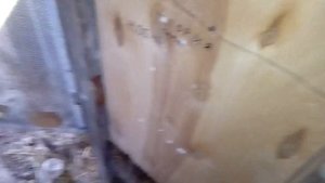 Ячмень для кролей