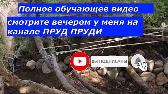 Фильтр Насос и Скиммер установка в пруд АНОНС | ПРУД ПРУДИ смотреть онлайн