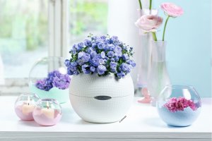 Кашпо для цветов ? LECHUZA PURO Color с автополивом ? #lechuzamoscow #автополив