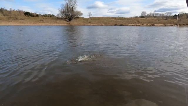 Лосось - Таймень 2022 смотреть онлайн