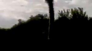 Гопник и страус (Клювожур)