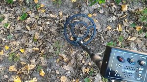 Металлоискатель терминатор. Рекомендую