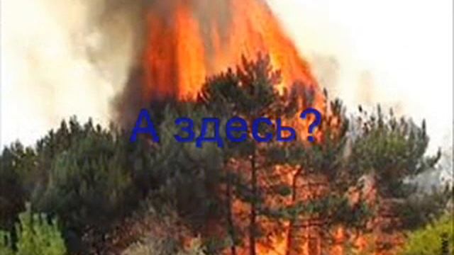 Береги лес от огня смотреть онлайн