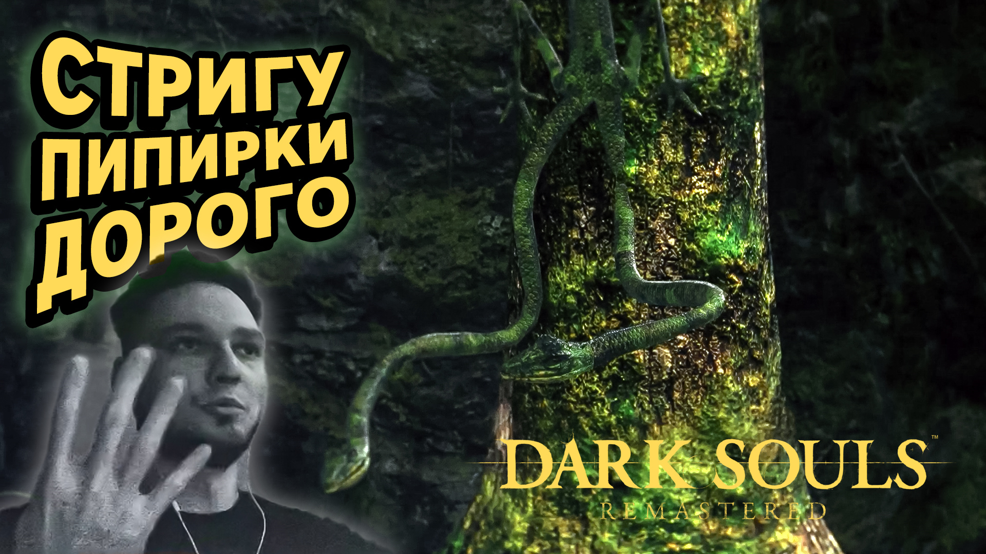 СТРИГУ ПИПИРКИ ДОРОГО - Dark Soul`s Remastered #8 - Прохождение