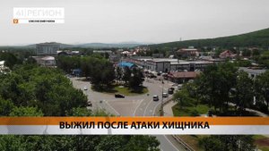 ПОСЛЕ ВСТРЕЧИ С МЕДВЕДЕМ ВЫЖИЛ ГРИБНИК ИЗ ЕЛИЗОВА • НОВОСТИ КАМЧАТКИ