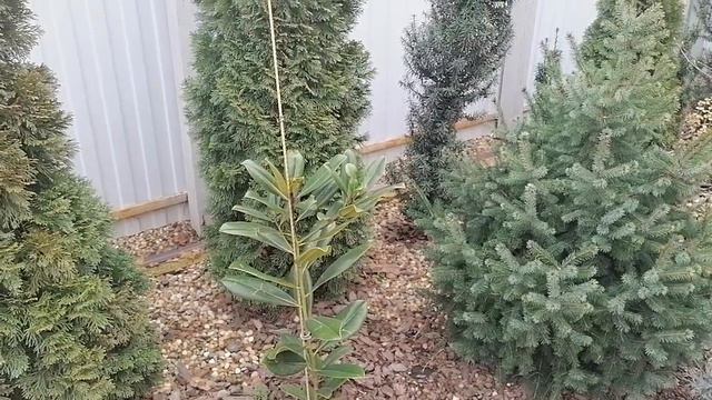 экзотика после мороза - 5С° смотреть онлайн