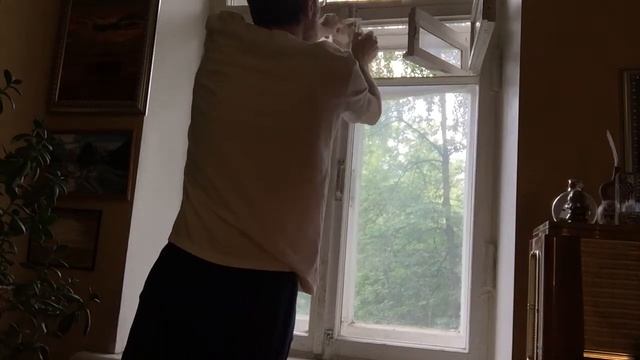 #свободушаману #демонуходи [обряд №49]