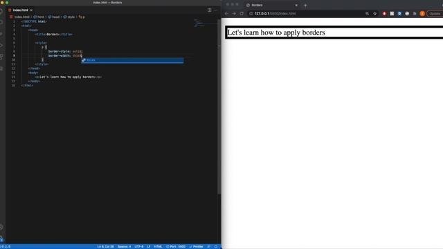 Learn How To Add Borders To Elements On Your Webpage Using CSS