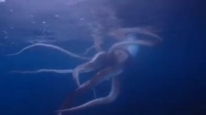 Гигантский кальмар