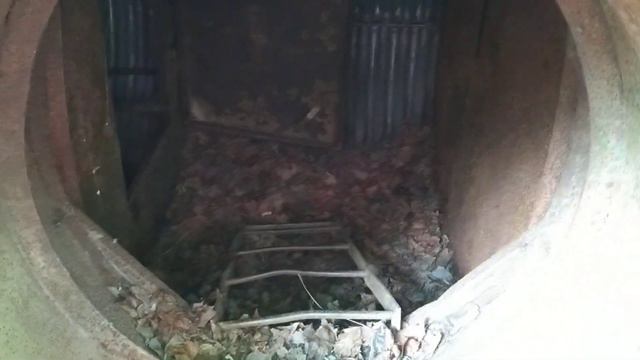 где можно хорошо отдохнуть в Эстонии