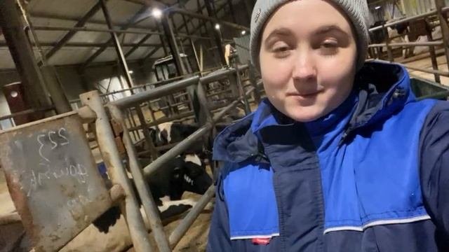 Профессия Ветеринар