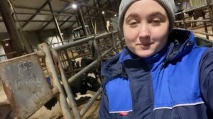 Профессия Ветеринар