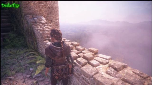 Пейзаж \ A Plague Tale Innocence (Чумная сказка)