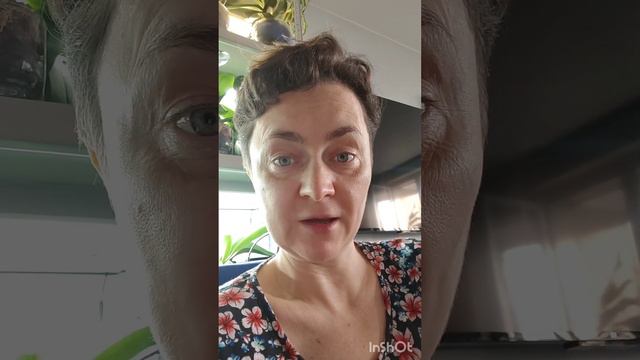 Методы борьбы с почвенными мошками.