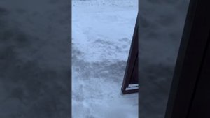 Выбор привода ворот