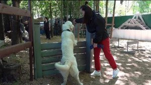 ТОП-5 ошибок недели. Выпуск 13.