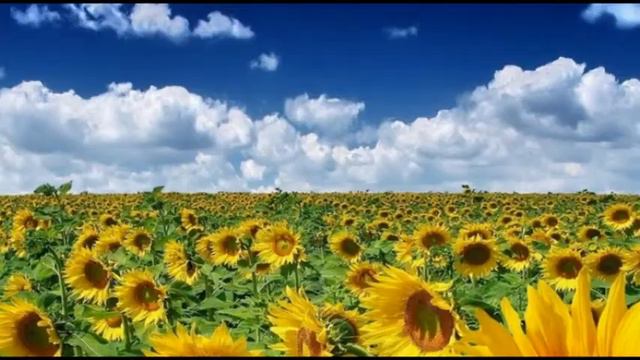 Валерий Дурандин. Ты ушла... смотреть онлайн