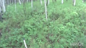 Якутск - Олекминск, р. Олекма август 2023г.