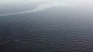 Петропавловск-Камчатский