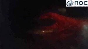 Микроволновый дефростер автоматический с шириной ленты 600 мм. Разморозка рыбы. Производство Китай