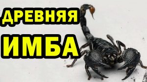 СКОРПИОНЫ В НЫНЕШНЕЙ МЕТЕ  | Земля - это игра