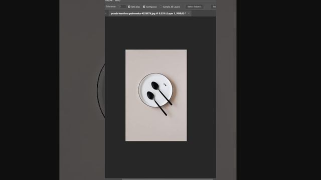 How To Make Selection In Photoshop | How To Use Magic Wand Tool in Adobe Photoshop