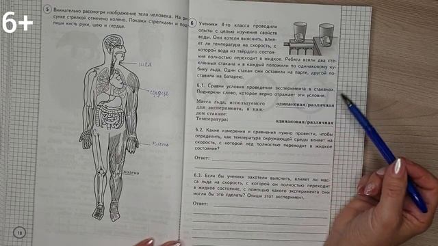 Впр окружающий 4 класс 2023 с ответами