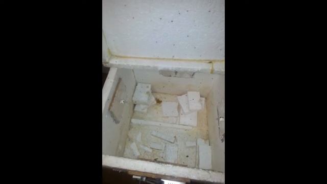 Инкубатор СВОИМИ РУКАМИ // Самый простой инкубатор // ПРОЩЕ НЕКУДА // смотреть онлайн