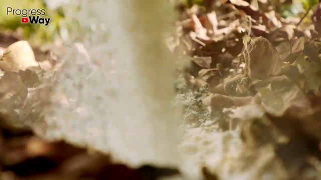 КЛУБНИКИ БУДЕТ В 10 РАЗ БОЛЬШЕ ЕСЛИ СДЕЛАТЬ ЭТО ВЕСНОЙ смотреть онлайн