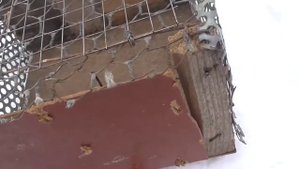 Самодельный западок