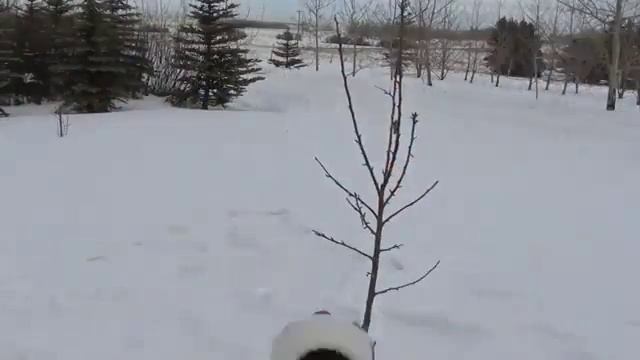 эмо бой смотреть онлайн