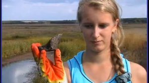 Далёкое прошлое нашего края, с.  Новотроицкое,  Терновского р-на,  Воронежской обл.